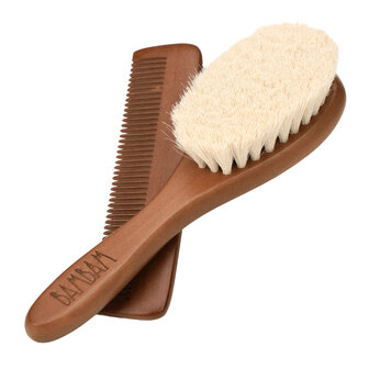 Eco Friendly Dark Brush &amp; Comb on card