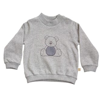 Sweater Teddy 12m